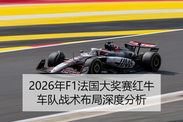 2026年F1法国大奖赛红牛车队战术布局深度分析