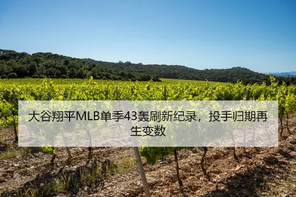 大谷翔平MLB单季43轰刷新纪录，投手归期再生变数