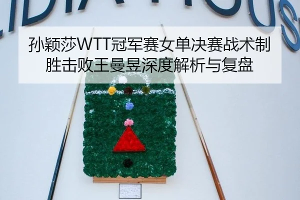 孙颖莎WTT冠军赛女单决赛战术制胜击败王曼昱深度解析与复盘